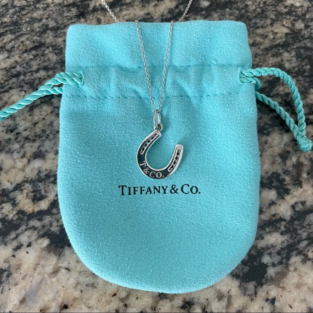 Tiffany & Co. Horseshoe Pendant Necklace in Sterling Silver
